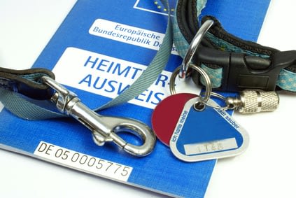Halsband und Ausweis