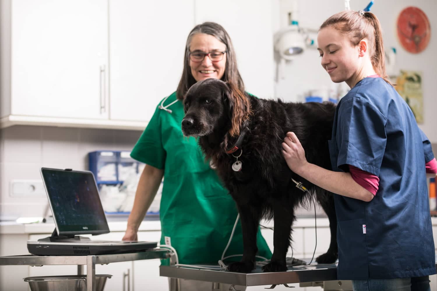 Tierarztpraxis Dres Reinartz Kardiologie Hund Jülich