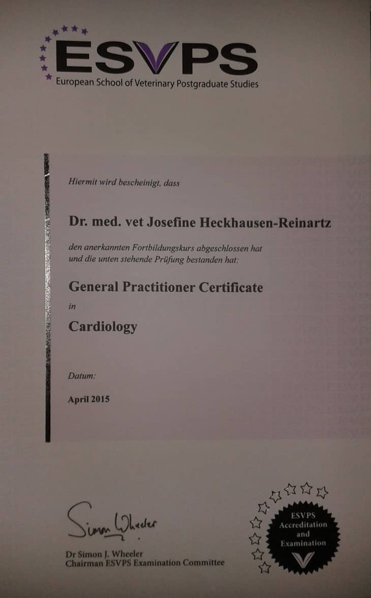 Zertifikat Kardiologie Dr Reinartz Jülich